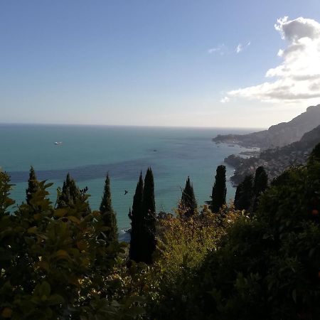 Monaco'S Cottage & Spa โรกบรูน-กัป-มาร์แต็ง ภายนอก รูปภาพ